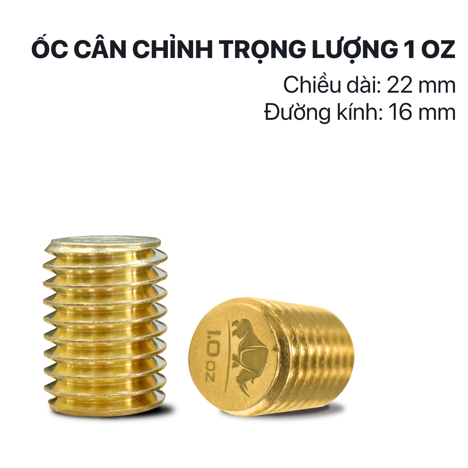 Bộ ốc cân chỉnh trọng lượng